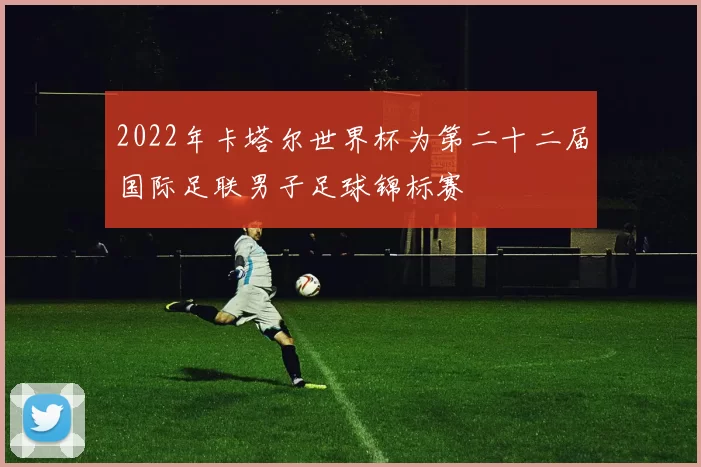 2022年卡塔尔世界杯为第二十二届国际足联男子足球锦标赛