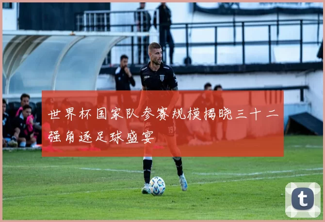 世界杯国家队参赛规模揭晓三十二强角逐足球盛宴