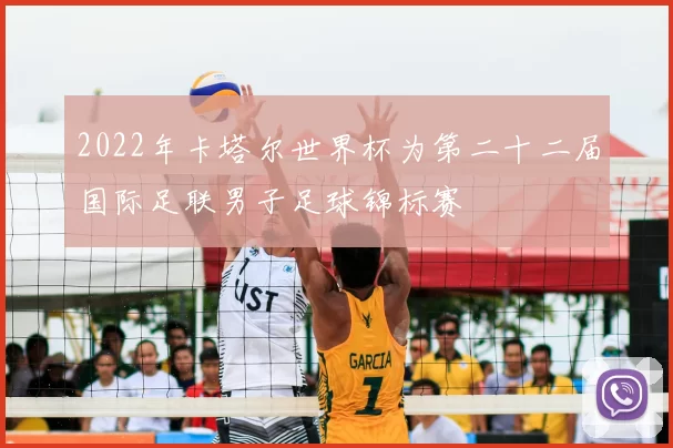 2022年卡塔尔世界杯为第二十二届国际足联男子足球锦标赛