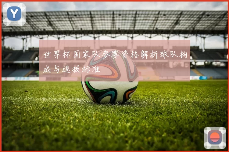 世界杯国家队参赛资格解析球队构成与选拔标准