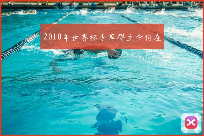 2010年世界杯季军得主今何在